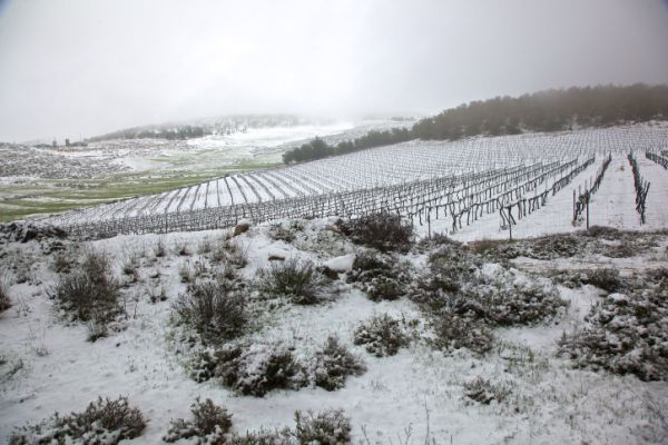 גשום וסוער; שלג בירושלים ובנגב: תחזית מזג אוויר