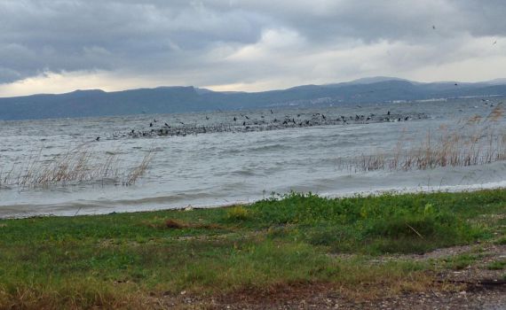 גשמי ברכה: עלייה נוספת במפלס הכנרת