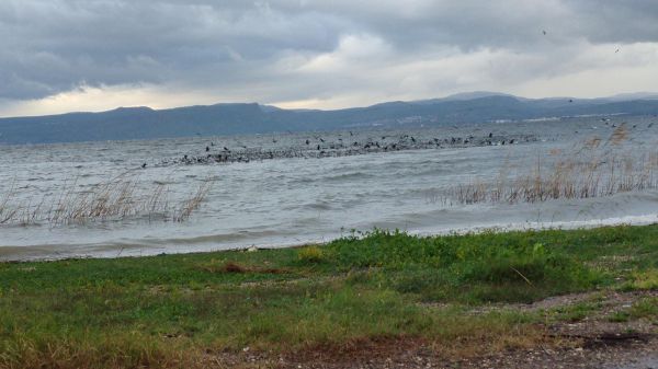 סכר דגניה ייפתח? מפלס הכנרת ממשיך לזנק