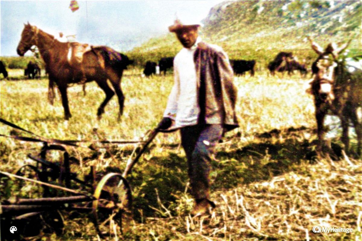 מסמך נדיר: הגבורה היהודית של טרומפלדור הגיעה מאביו