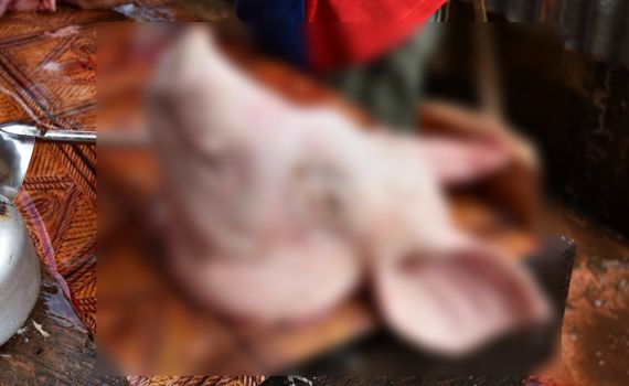 מתקפה אנטישמית בשוויץ: ראשי חזיר בפתח בתי כנסת