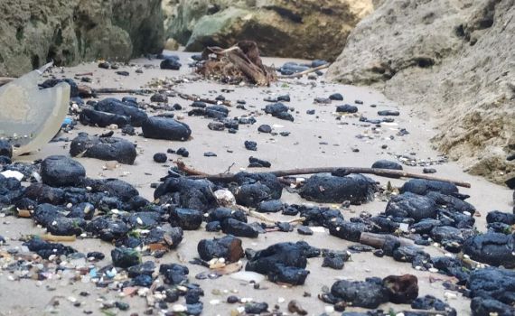 השרה גמליאל: תפסנו את הספינה שאחראית לזיהום