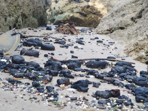 השרה גמליאל: תפסנו את הספינה שאחראית לזיהום