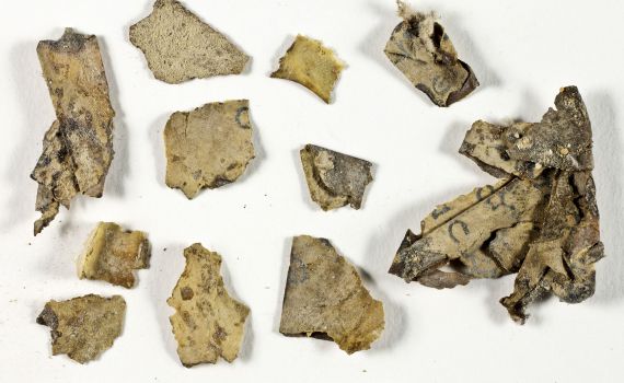 עשרות קטעי מגילה מימי בר כוכבא נחשפו במדבר יהודה