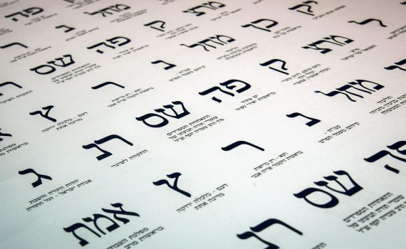 עדיין נמוך: אחוז ההצבעה 60.9% | יומן בחירות מתעדכן