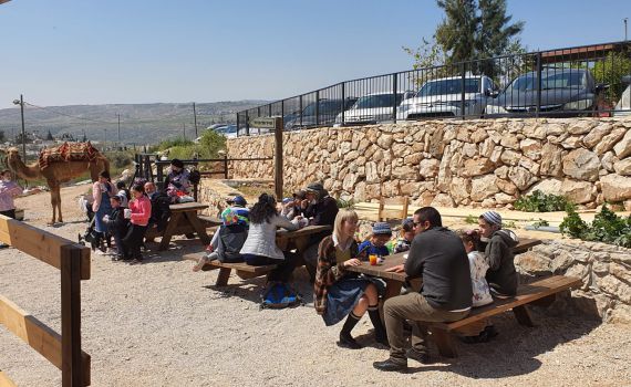 רבבות מטיילים בחול המועד פסח בגוש עציון