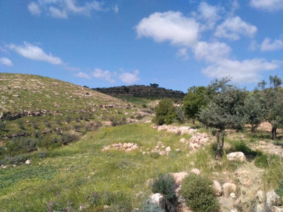 צאו לטייל: פסטיבל טיולי פסח ישראלי עם "אשכולות"