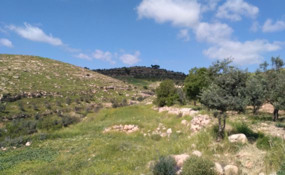 צאו לטייל: פסטיבל טיולי פסח ישראלי עם "אשכולות"