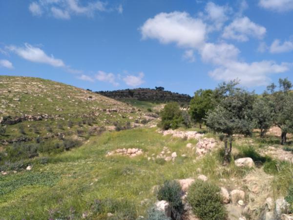 צאו לטייל: פסטיבל טיולי פסח ישראלי עם "אשכולות"