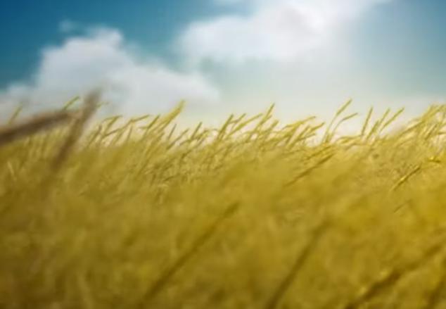 צפו: כמה נקודות על ספירת העומר וקורבן העומר