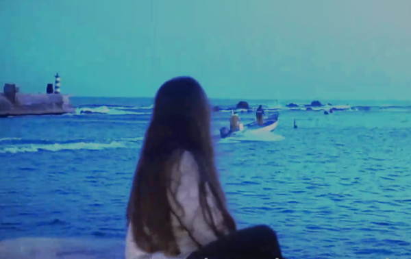 השופט פוגלמן טשטש לציונות הדתית את הקמפיין