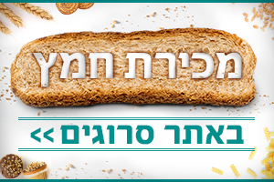 פסח תשפ"א: מכירת חמץ דרך אתר סרוגים
