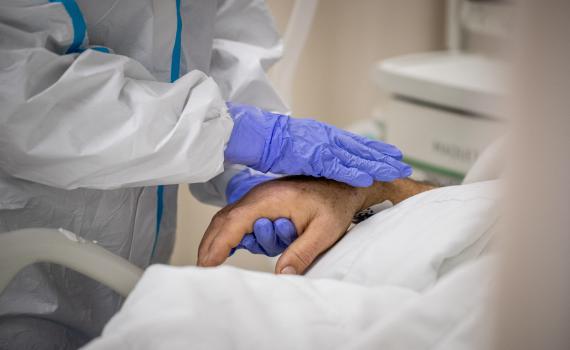 שלושה חולי אבעבועות הקוף אובחנו היום בישראל