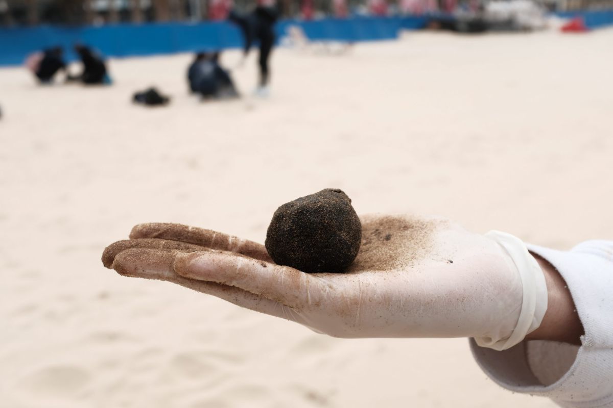 משרדי הממשלה השיבו חלק מחופי הים לפעילות