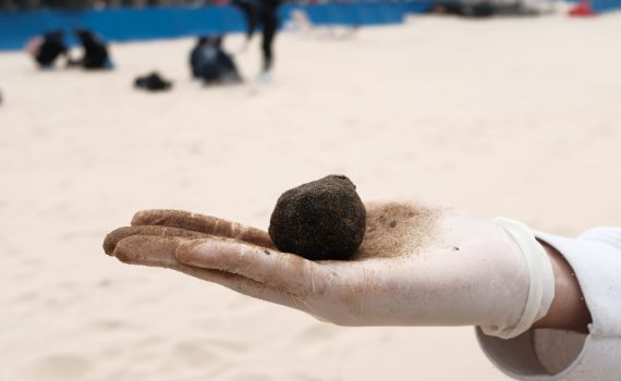 משרדי הממשלה השיבו חלק מחופי הים לפעילות