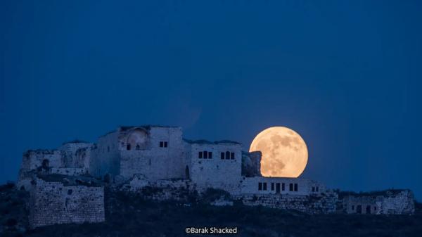 אפקט הקורונה? | שיא של מבקרים בשמורות הטבע