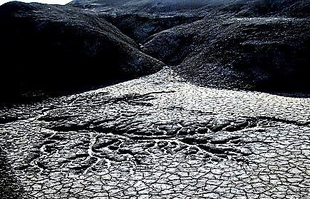 חומש מזווית אחרת: ספר ויקרא בתמונות