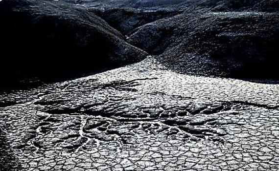 חומש מזווית אחרת: ספר ויקרא בתמונות