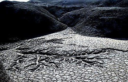 חומש מזווית אחרת: ספר ויקרא בתמונות