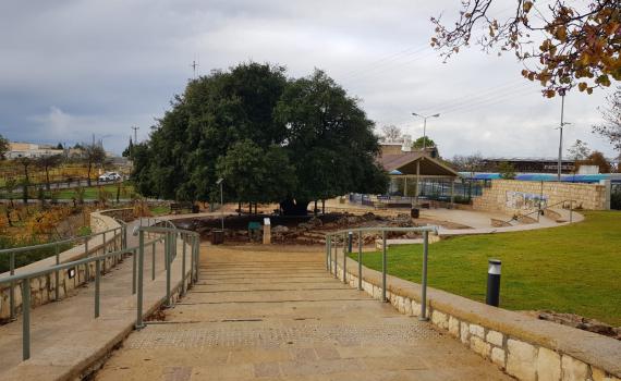 תלמידי גוש עציון מציינים יום שיא בנושא מורשת הגוש