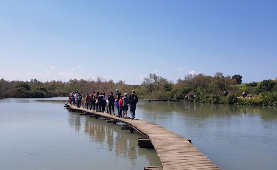 למעלה מ-40 אלף איש פקדו עד כה את שמורות הטבע