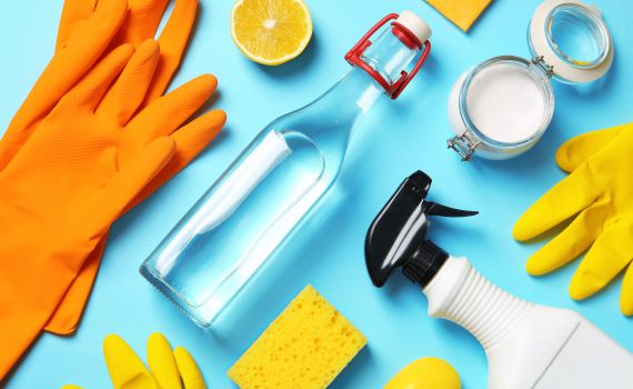 מקטשופ ועד לימון: סודות הניקוי שאתם חייבים להכיר