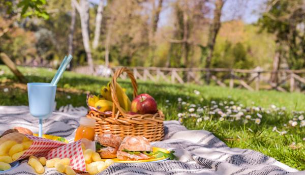 לבחור נכון: 15 מתכונים לפיקניק משפחתי בטבע