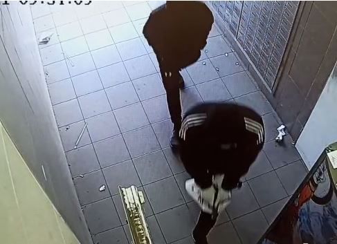 נעצרו 2 חשודים ששדדו אדם וקשרו אותו לעץ