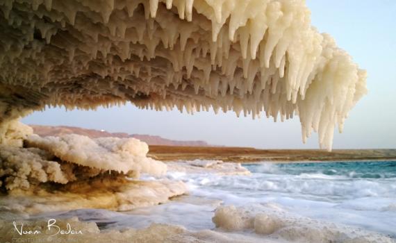 לא רק חיסונים ובחירות – שיאים ישראליים יחודיים