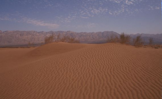 למנוע טרגדיה: אזהרה בעקבות גל החום כבד