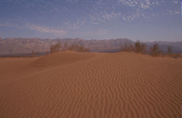 למנוע טרגדיה: אזהרה בעקבות גל החום כבד