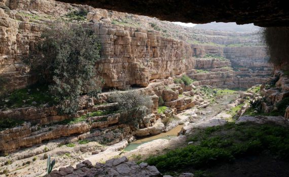 טרגדיה: בן 15 נהרג כשטבע למוות בנחל פרת