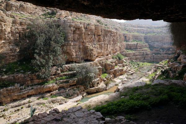 טרגדיה: בן 15 נהרג כשטבע למוות בנחל פרת