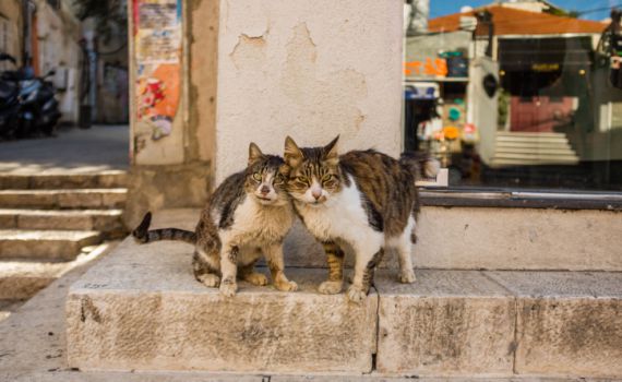 לא מספיק לבחור מחדש בקשר, צריך שיבוא מאהבה