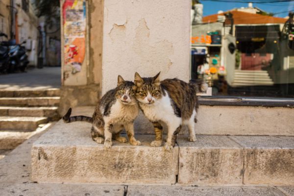 לא מספיק לבחור מחדש בקשר, צריך שיבוא מאהבה