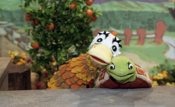 "פרפר נחמד" 2021: אלו השחקנים החדשים שלוהקו