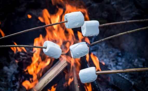 לשדרג את המרשמלו: 5 רעיונות לל"ג בעומר