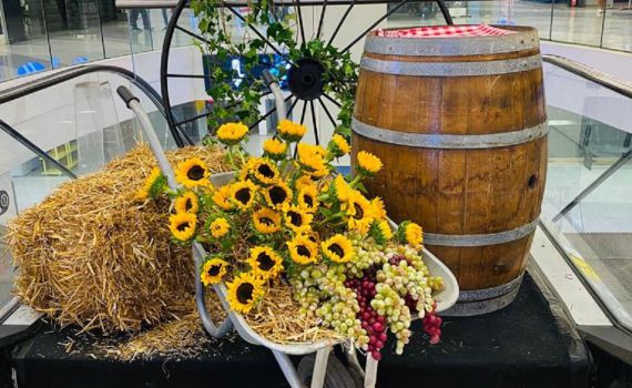 גבינות, יין ונגני בוזוקי: יריד שבועות בקניון הדר ירושלים