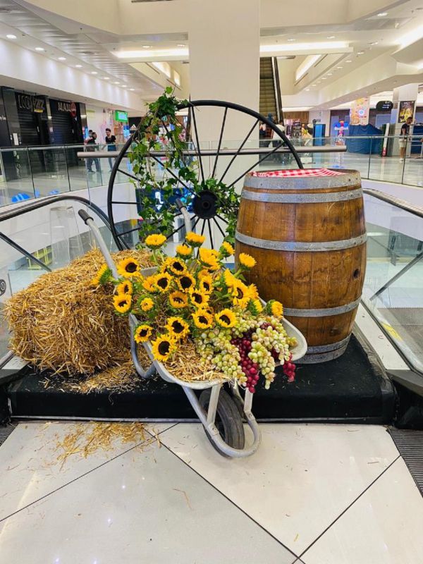 גבינות, יין ונגני בוזוקי: יריד שבועות בקניון הדר ירושלים