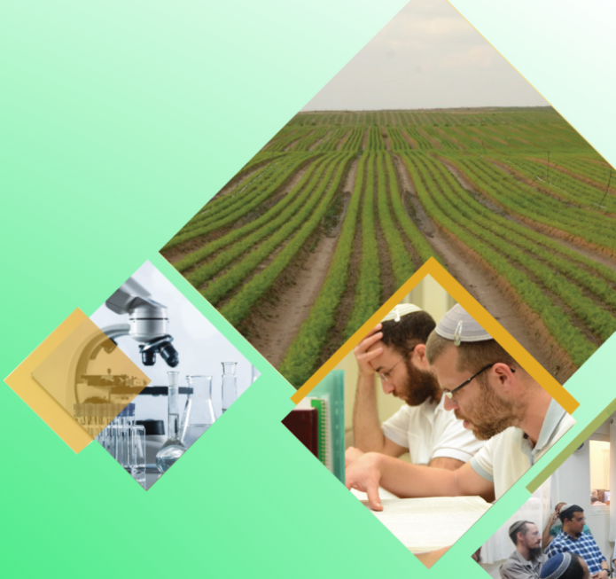 שב תלמד, השאר עלינו: הצעה בלעדית ללימודים