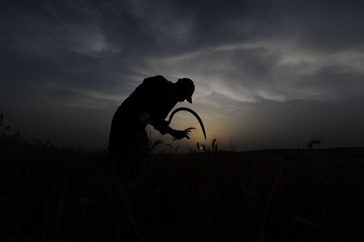 אנשי "ספירת העומר": לחבר בין התנועות החסרות