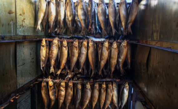 מחקר: יהודים בבית הראשון נהגו לאכול דגים לא כשרים