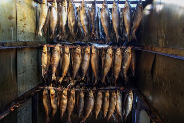 מחקר: יהודים בבית הראשון נהגו לאכול דגים לא כשרים