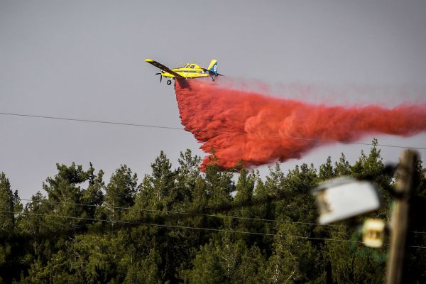 השריפה במושב ליד נתב"ג; הושגה שליטה על האש