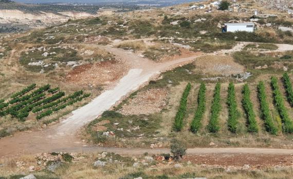 כח מג"ב עזב את גבעת קומי אורי. ביצהר מברכים