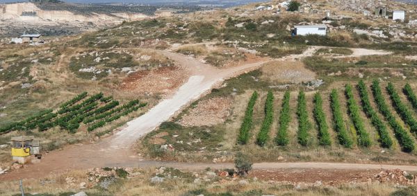 כח מג"ב עזב את גבעת קומי אורי. ביצהר מברכים