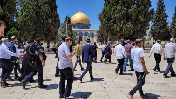תמונת הניצחון: לא ננוח עד להשגת חופש פולחן בהר הבית