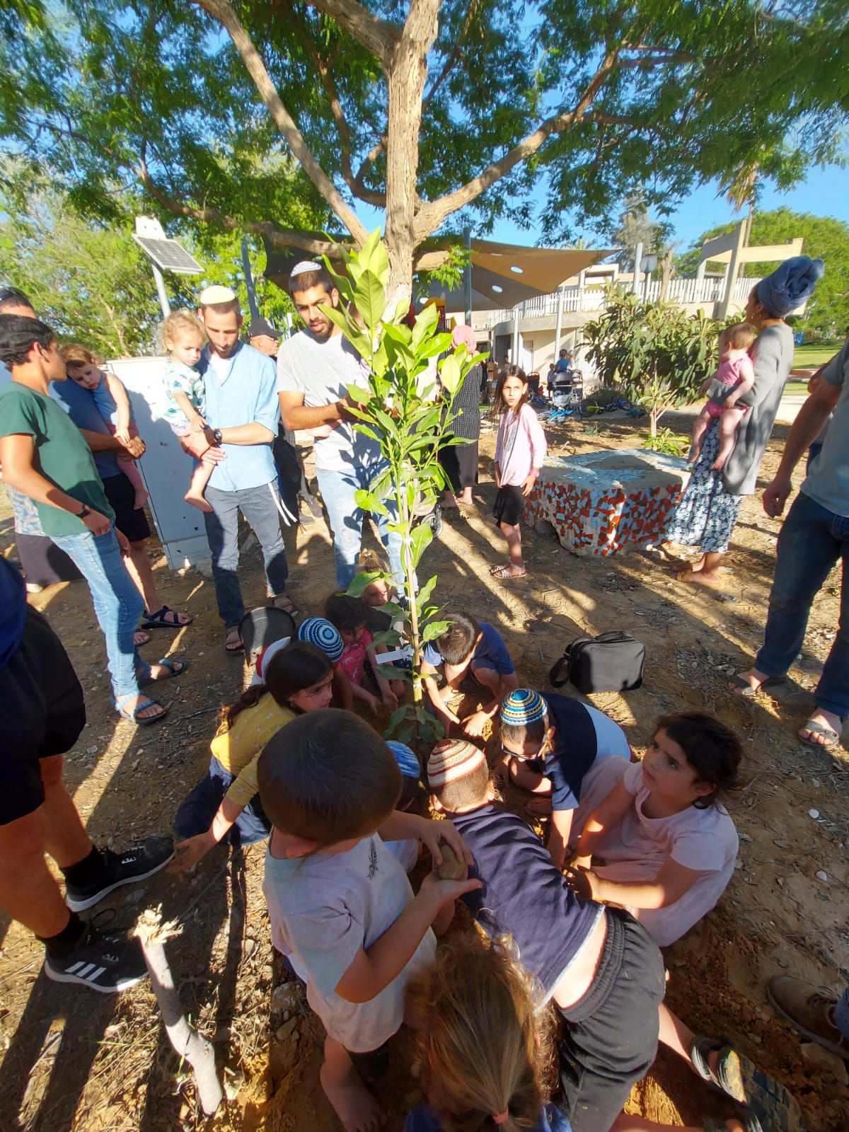 שתילים של תקוה: הילדים שתלו בבורות הפצמ"רים