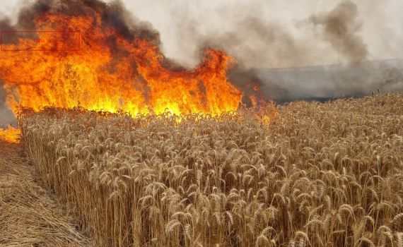 "שומר החומות": תיעוד נדיר ממצלמתו של קצין הביטחון