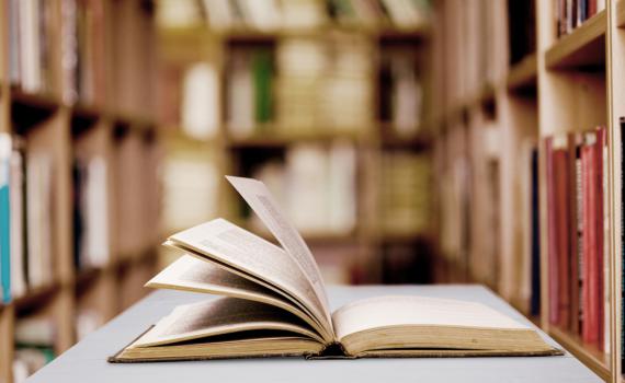 שבוע הספר: איזה ספרים הושאלו הכי הרבה השנה?